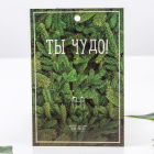 Брошь 4096984 «Лягушка» зеленый/серебро в интернет-магазине Швейпрофи.рф