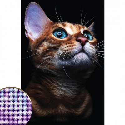 Алмазная мозаика Школа талантов 4176754 «Взгляд кошки» 20*30 см частичная выкладка в интернет-магазине Швейпрофи.рф