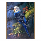 Алмазная мозаика СЛ 3549253 «Волнистый попугайчик в тропиках» 20*27 см полная выкладка в интернет-магазине Швейпрофи.рф