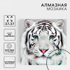 Алмазная мозаика Школа Талантов 1448696 «Белый тигр» частичная выкладка 37*37 см в интернет-магазине Швейпрофи.рф