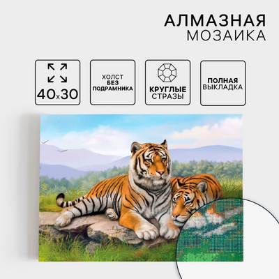 Алмазная мозаика Школа Талантов 5361596 «Тигры»  полная выкладка на холсте 30*40 см в интернет-магазине Швейпрофи.рф