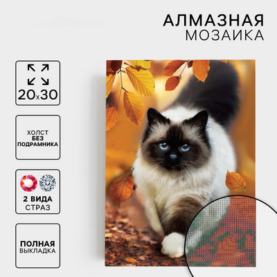 Алмазная мозаика Школа Талантов 7516472 «Кошка» полная выкладка 20*30 см в интернет-магазине Швейпрофи.рф