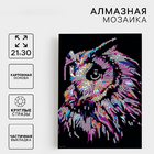 Алмазная мозаика Школа талантов 7625430 «Сова» 21*30 см в интернет-магазине Швейпрофи.рф